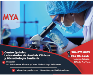 Copia de Laboratorio_Mesa de trabajo 1
